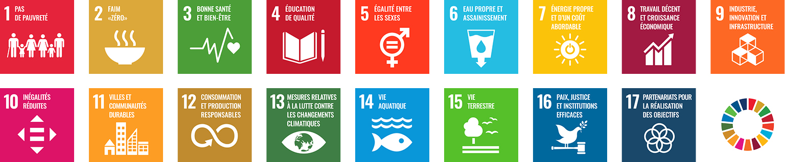 UN Sustainability Goals