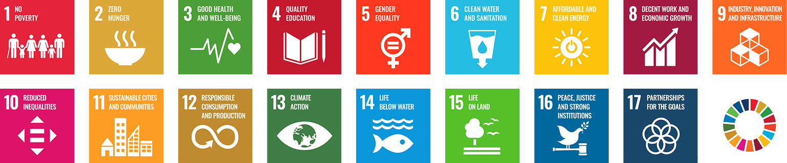 UN Sustainability Goals